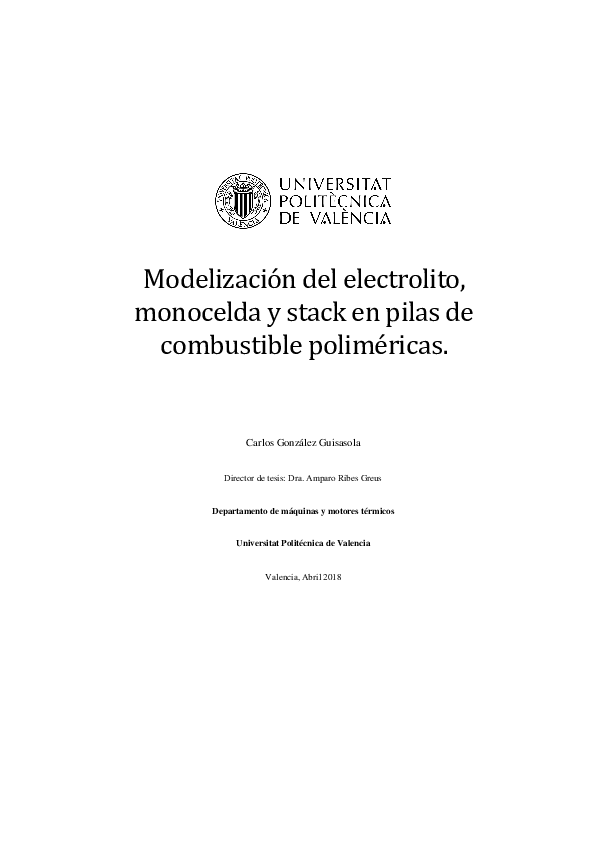 (PDF) Modelización del electrolito, monocelda y