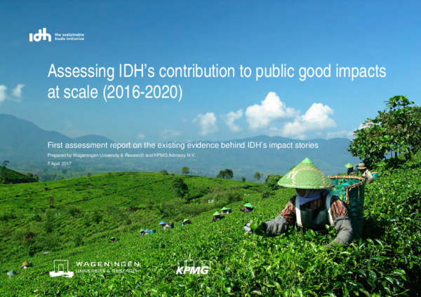 (PDF) Assessing IDH’s contribution to public good impacts at scale