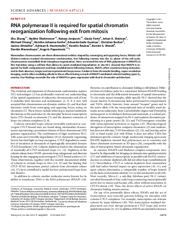 (PDF) RNA polymerase II is required for spatial chromatin ...