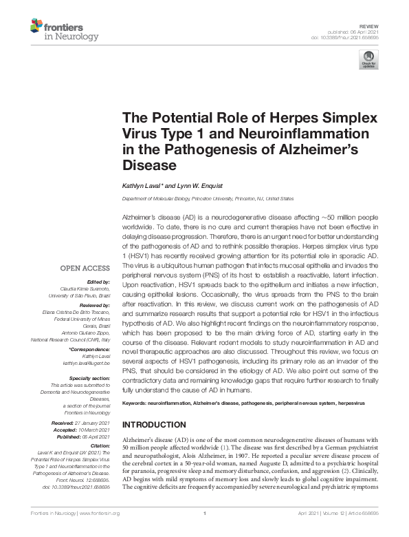 (PDF) The Potential Role of Herpes Simplex Virus Type 1 and ...
