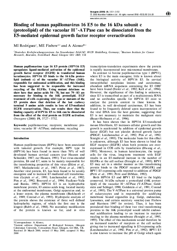 (PDF) Binding of human papillomavirus 16 E5 to the 16 kDa subunit c ...
