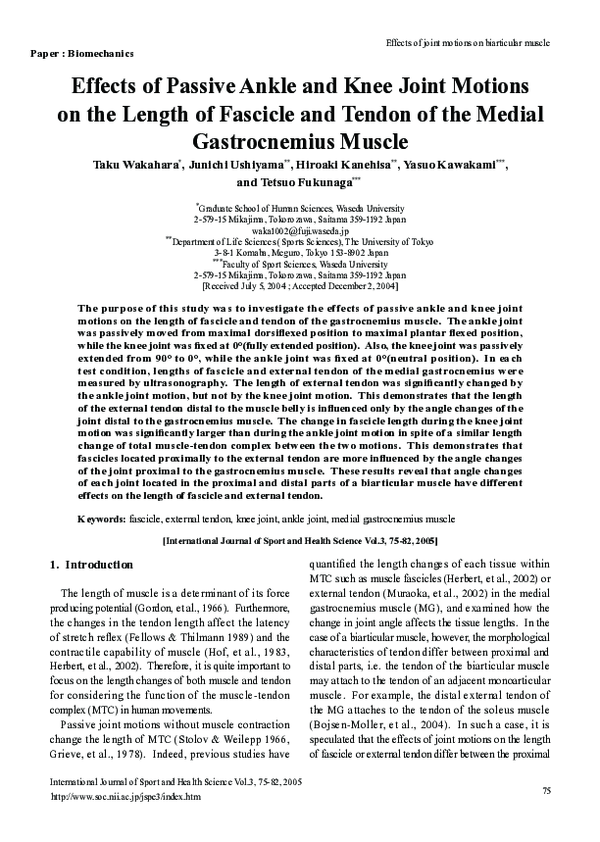 (PDF) Effects of Passive Ankle and Knee Joint Motions on the Length of ...