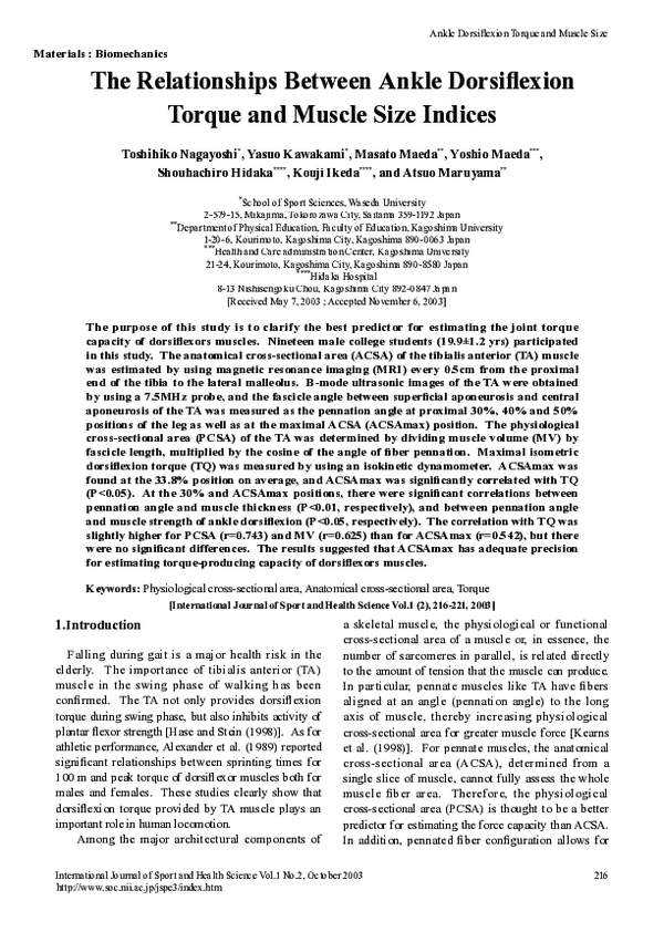 (PDF) The Relationships Between Ankle Dorsiflexion Torque and Muscle ...