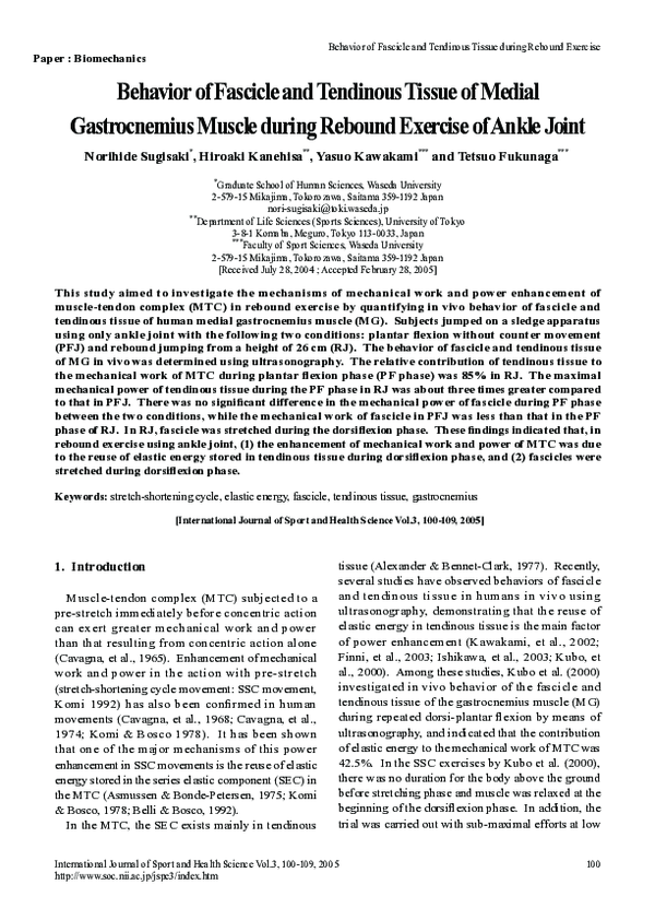 (PDF) Behavior of Fascicle and Tendinous Tissue of Medial Gastrocnemius ...