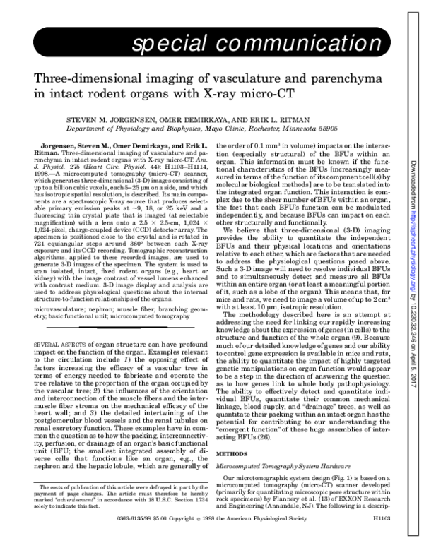(PDF) Three-dimensional imaging of vasculature and parenchyma in intact ...