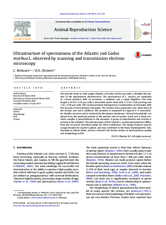 (PDF) Ultrastructure of spermatozoa of the Atlantic cod Gadus morhua L ...