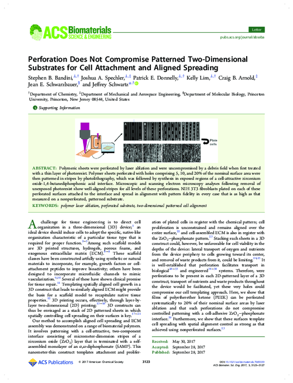 (PDF) Perforation Does Not Compromise Patterned Two-Dimensional ...