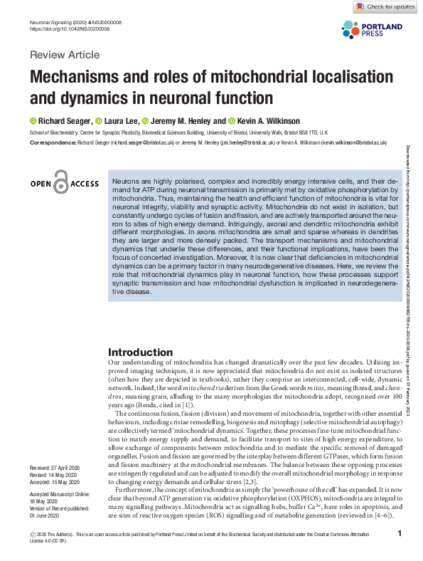 (PDF) Mechanisms and roles of mitochondrial localisation and dynamics ...