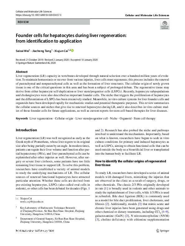 (PDF) Founder cells for hepatocytes during liver regeneration: from ...