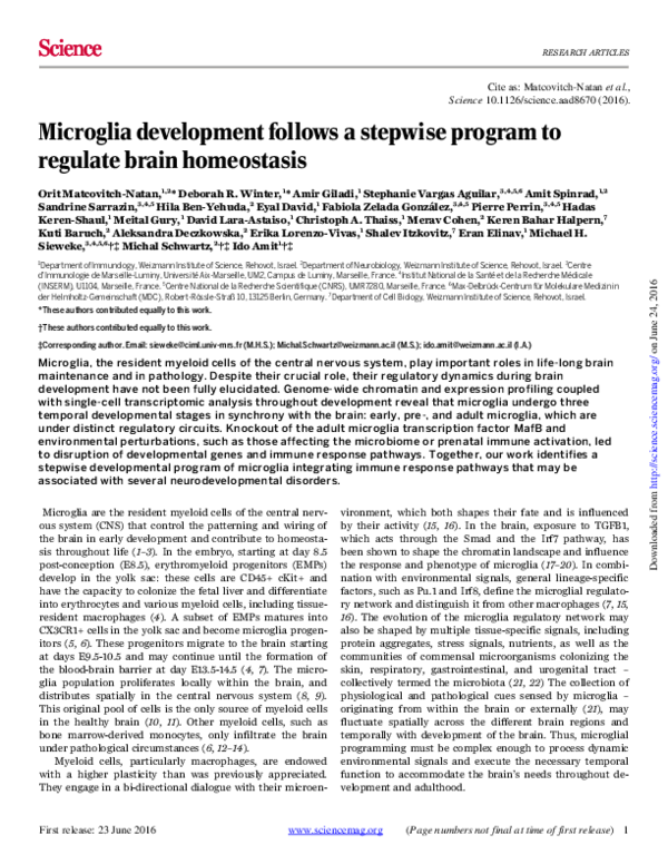 (PDF) Microglia development follows a stepwise program to regulate ...