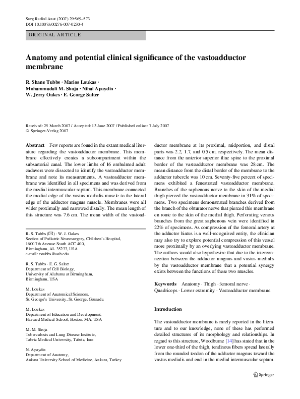 Visual Reference: Pdf Anatomy And Potential Clinical Significance Of The Vastoadductor Membrane
