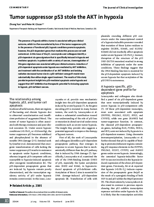 (PDF) Tumor suppressor p53 stole the AKT in hypoxia