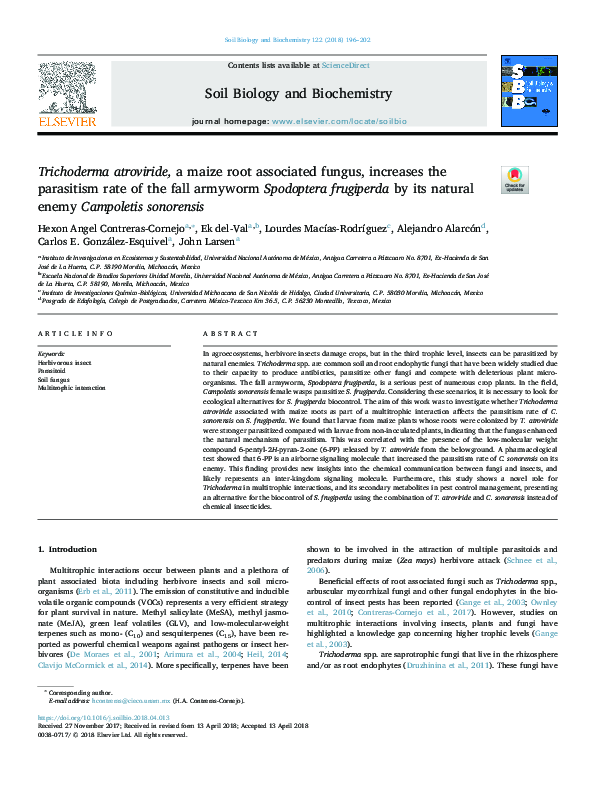 (PDF) Trichoderma atroviride, a maize root associated fungus, increases ...