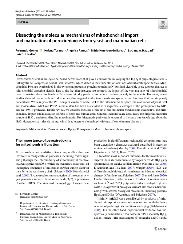 (PDF) Dissecting the molecular mechanisms of mitochondrial import and ...