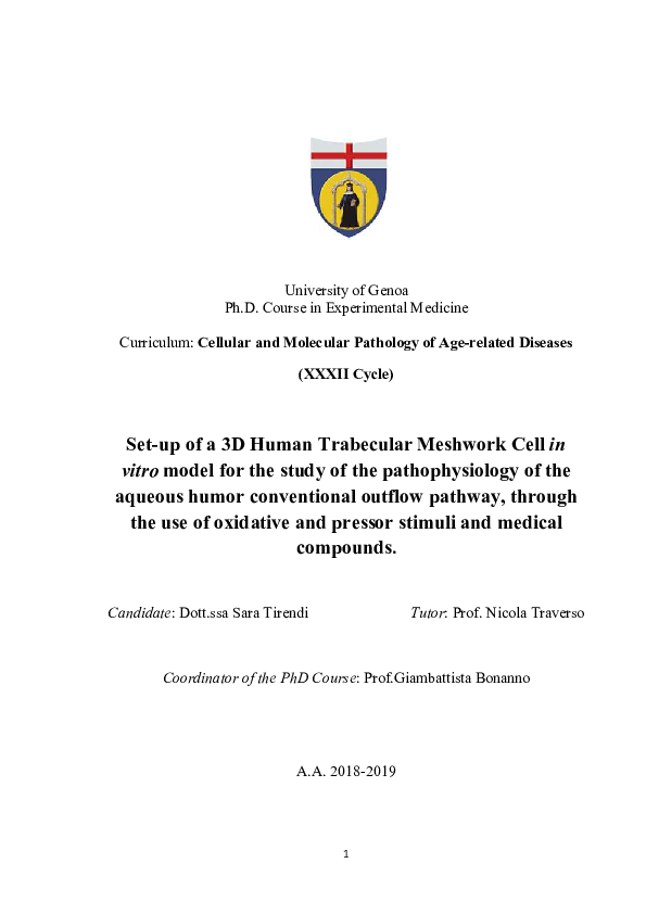 (PDF) Set-up of a 3D Human Trabecular Meshwork Cells in vitro model for ...