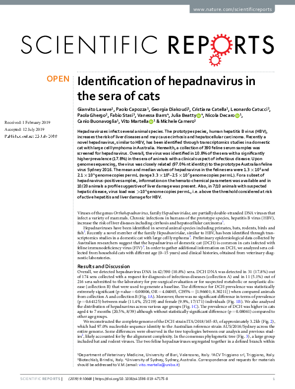 (PDF) Identification of hepadnavirus in the sera of cats