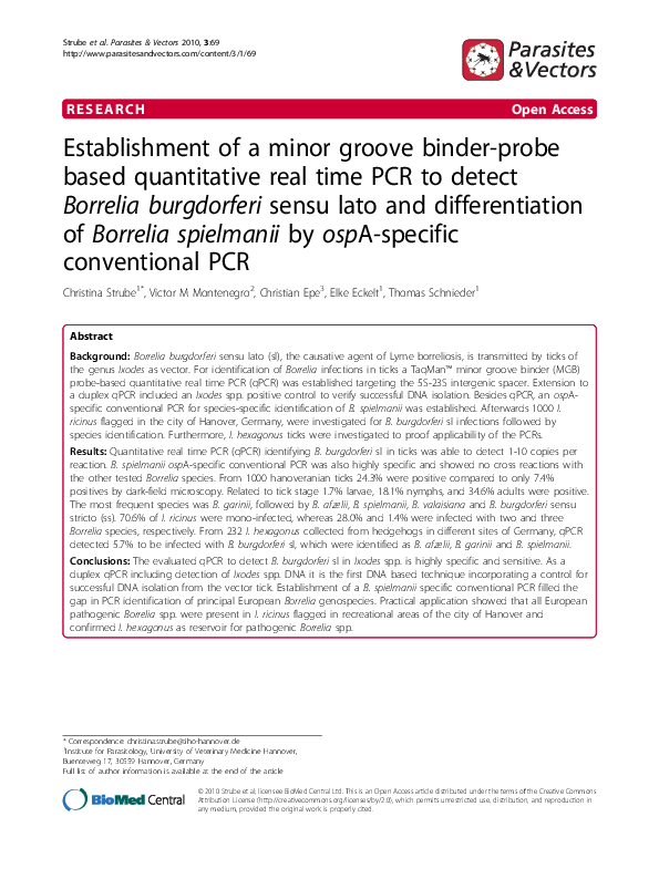 (PDF) Establishment of a minor groove binder-probe based quantitative ...