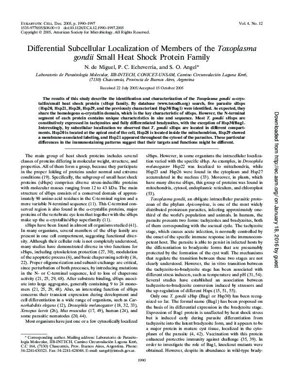 Differential Subcellular Localization of Members of the Toxoplasma gondii Small Heat Shock Protein Family