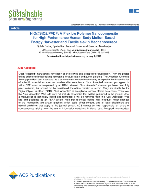 (PDF) NiO@SiO2/PVDF: A Flexible Polymer Nanocomposite for a High ...