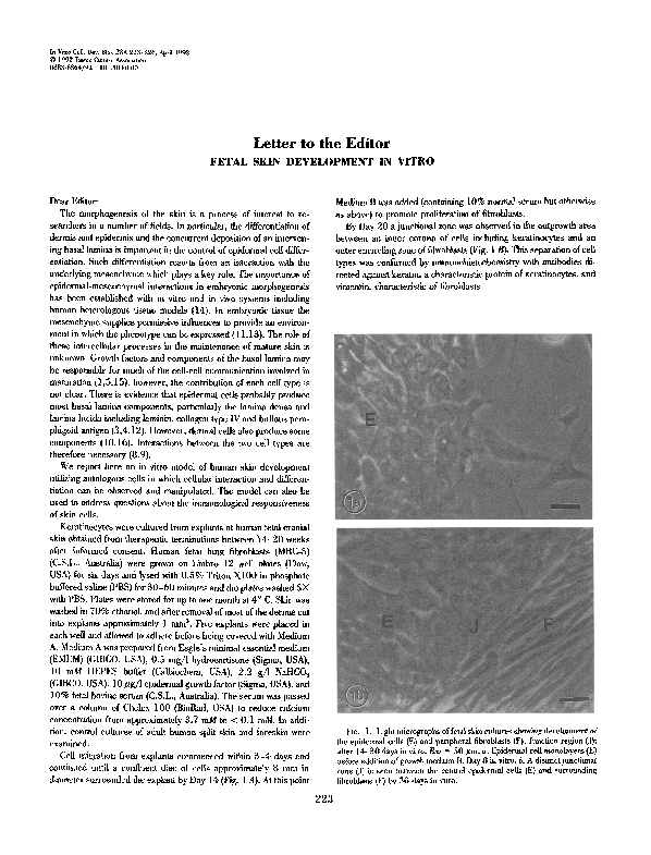 (PDF) Fetal skin development in vitro