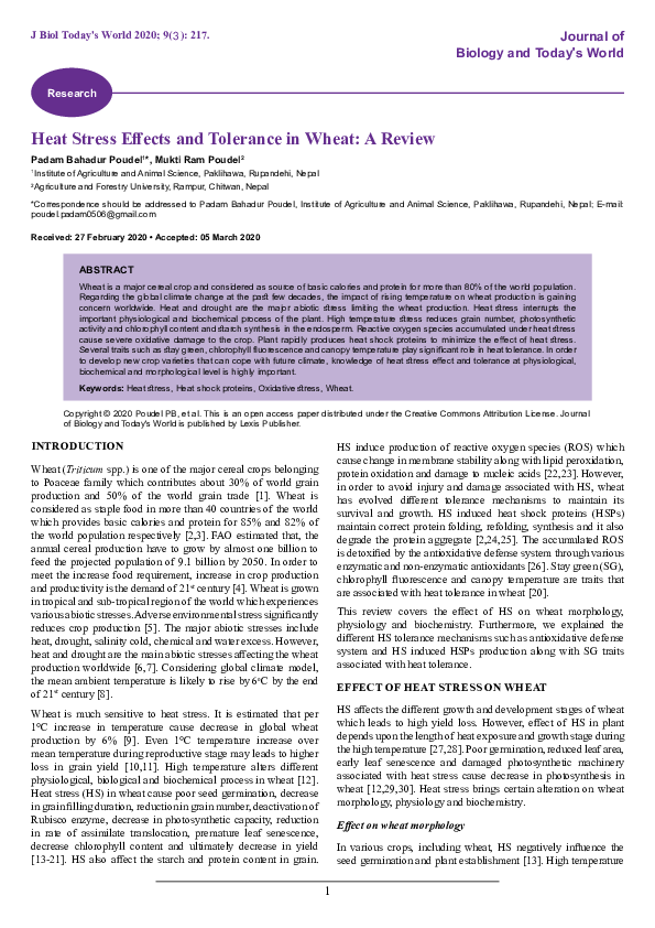 (PDF) Heat Stress Effects and Tolerance in Wheat: A Review