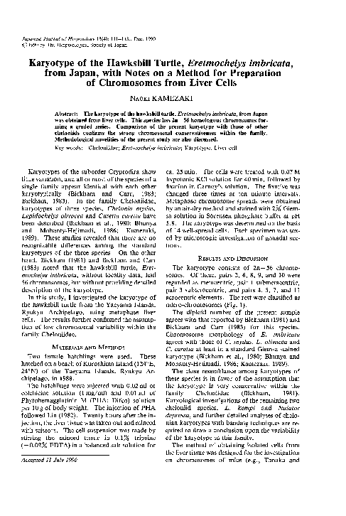 (PDF) Karyotype of the Hawksbill Turtle, Eretmochelys imbricata , from ...