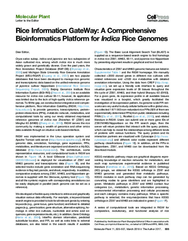 (PDF) Rice Information GateWay (RIGW): A Comprehensive Bioinformatics ...