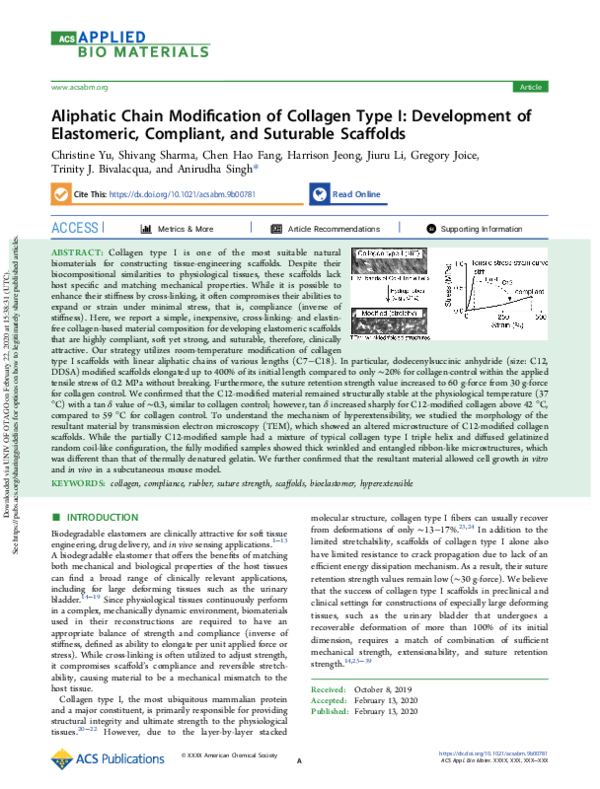 (PDF) Aliphatic Chain Modification of Collagen Type I: Development of ...