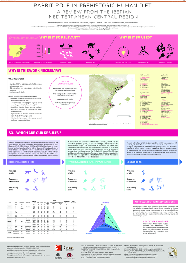 (PDF) Rabbit Role in Prehistoric Human Diet: A Review from the Iberian ...