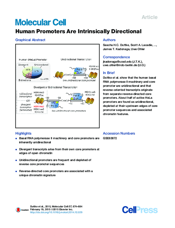 (PDF) Human Promoters Are Intrinsically Directional