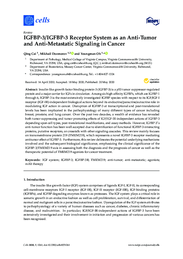 (PDF) IGFBP-3/IGFBP-3 Receptor System as an Anti-Tumor and Anti ...