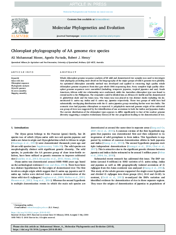 (PDF) Chloroplast phylogeography of AA genome rice species