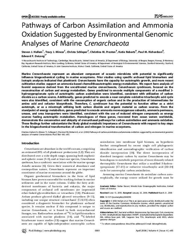 (PDF) Pathways of Carbon Assimilation and Ammonia Oxidation Suggested ...