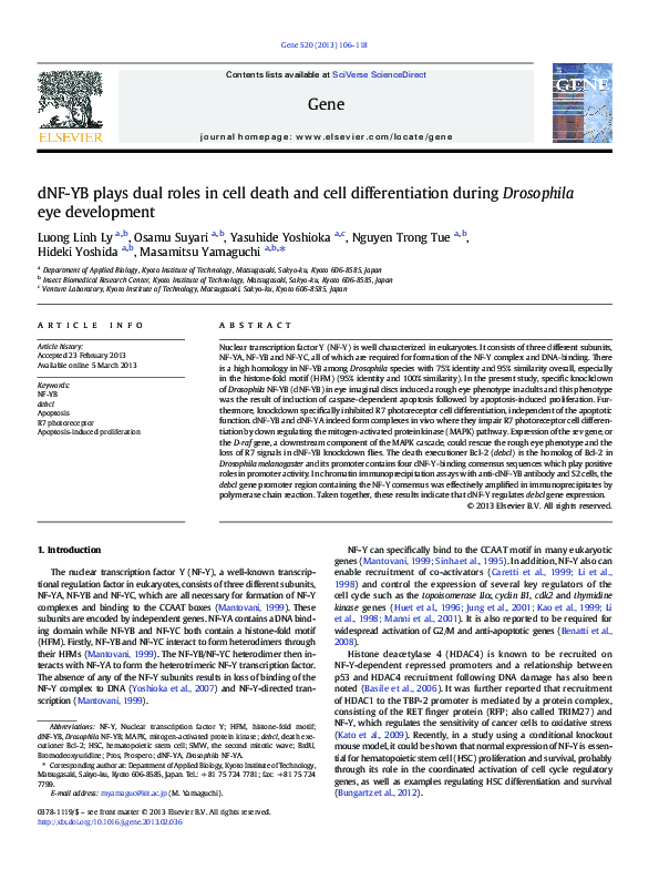(PDF) dNF-YB plays dual roles in cell death and cell differentiation ...