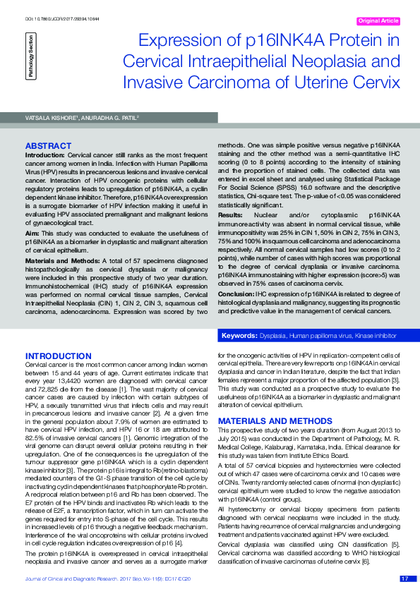 (PDF) Expression of p16INK4A Protein in Cervical Intraepithelial ...