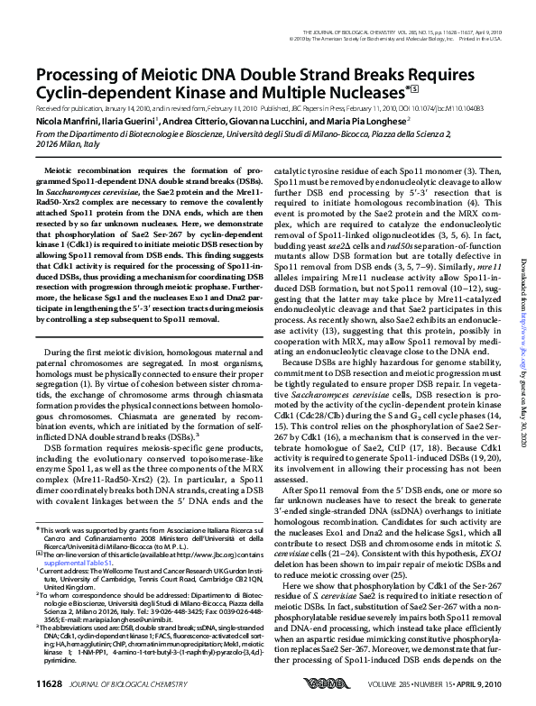 (PDF) Processing of Meiotic DNA Double Strand Breaks Requires Cyclin ...