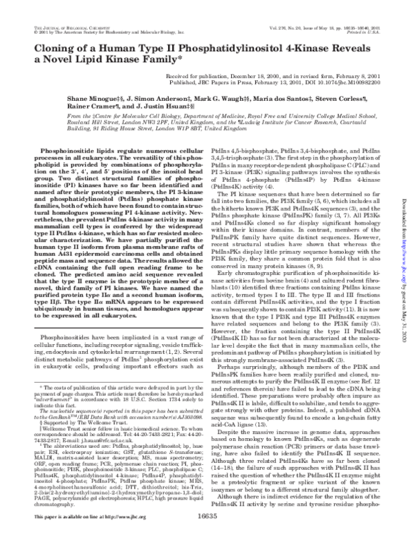 Cloning of a Human Type II Phosphatidylinositol 4-Kinase Reveals a Novel Lipid Kinase Family