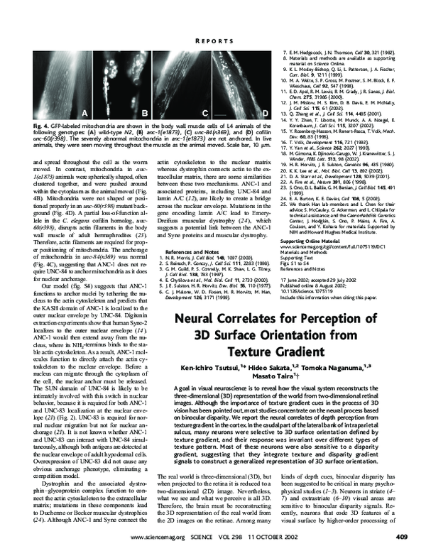 (PDF) Neural Correlates for Perception of 3D Surface Orientation from ...