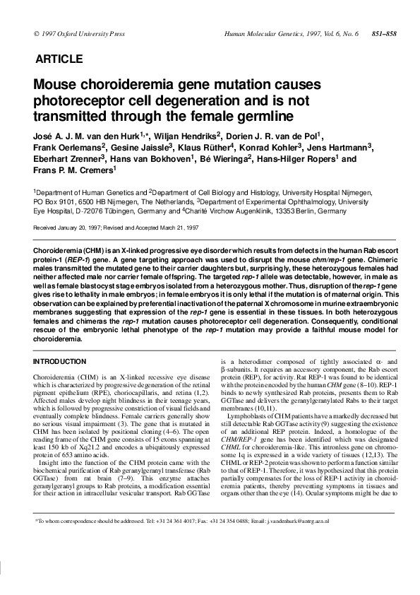 (PDF) Mouse Choroideremia Gene Mutation Causes Photoreceptor Cell ...