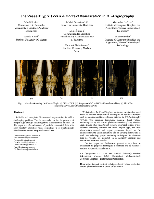 (PDF) The VesselGlyph: focus & context visualization in CT-angiography