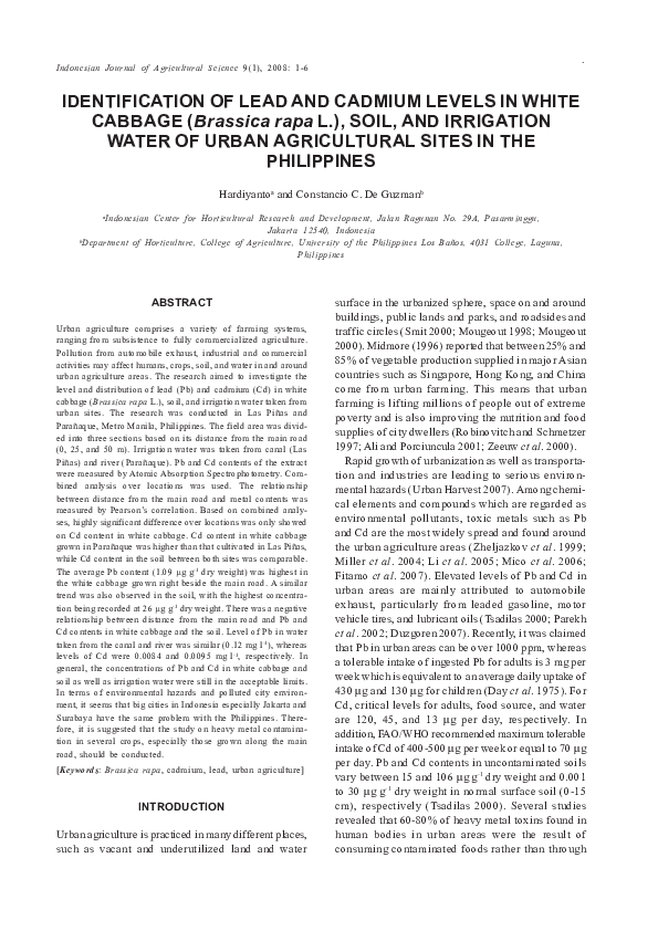 (PDF) IDENTIFICATION OF LEAD AND CADMIUM LEVELS IN WHITE CABBAGE