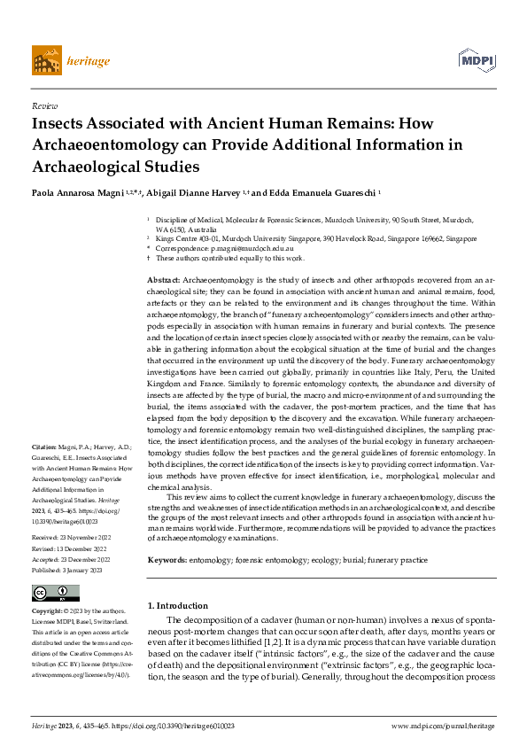 (PDF) Insects Associated with Ancient Human Remains: How ...
