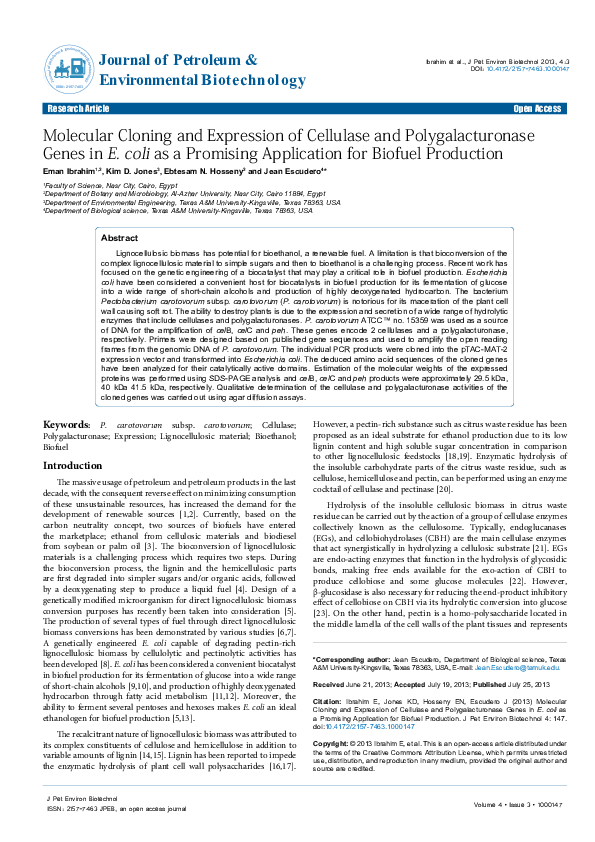 (PDF) Molecular Cloning and Expression of Cellulase and ...