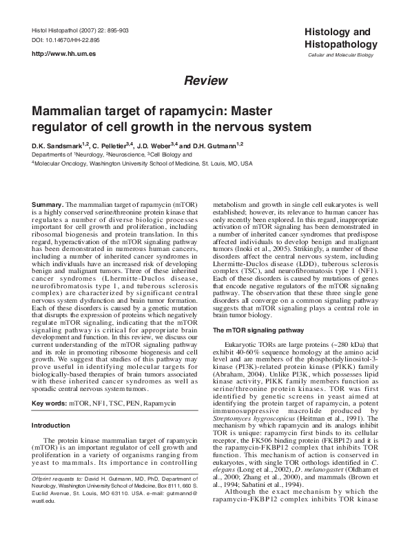 (PDF) Mammalian target of rapamycin: master regulator of cell growth in ...