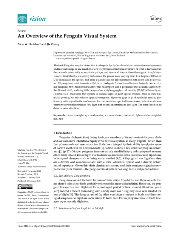 (PDF) An Overview of the Penguin Visual System