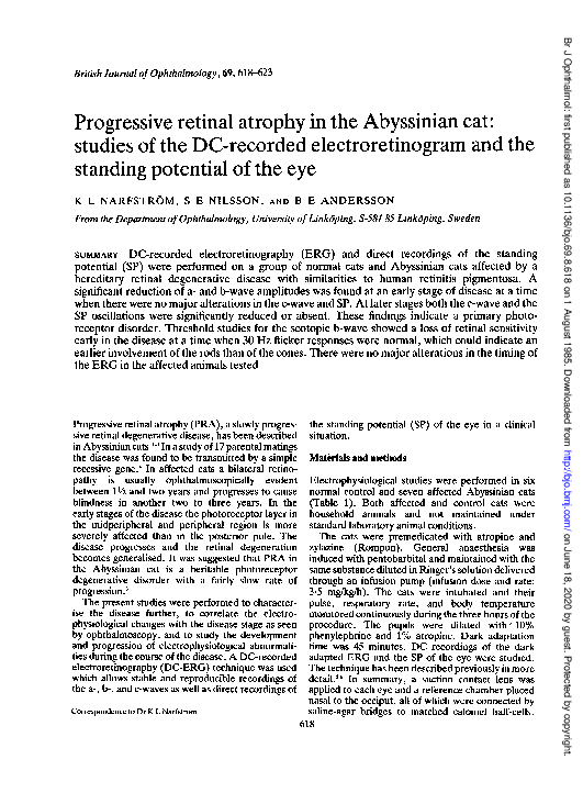 (PDF) Progressive retinal atrophy in the Abyssinian cat: studies of the ...