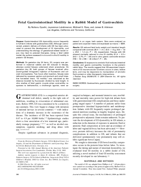 (PDF) Fetal gastrointestinal motility in a rabbit model of gastroschisis