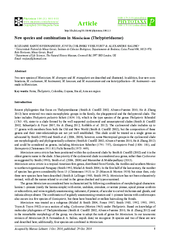 (PDF) New species and combinations in Meniscium (Thelypteridaceae)