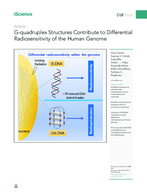 (PDF) G-quadruplex Structures Contribute to Differential ...