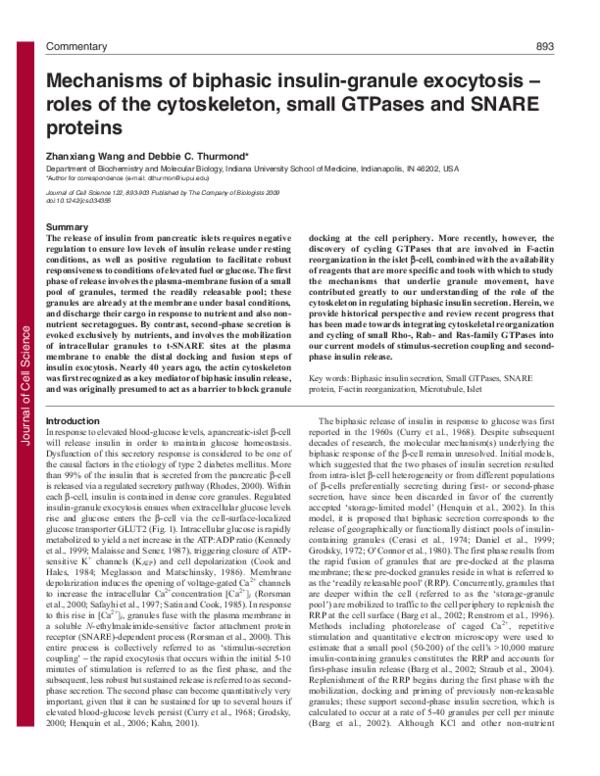 (PDF) Mechanisms of biphasic insulin-granule exocytosis – roles of the ...